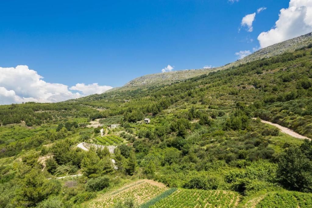 Apartamento Carso Olea A2 Podstrana Exterior foto